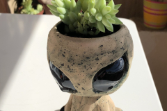 Maceta alienígena. PVP: 60€ ( sin planta)
