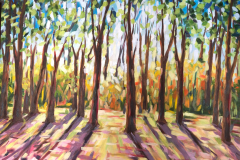 Amanecer en el bosque