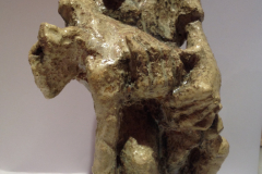 Diseños premios san Juan de Dios. Moderno.